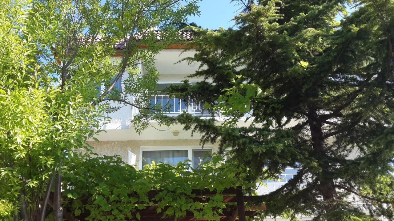 Guest House Velena
