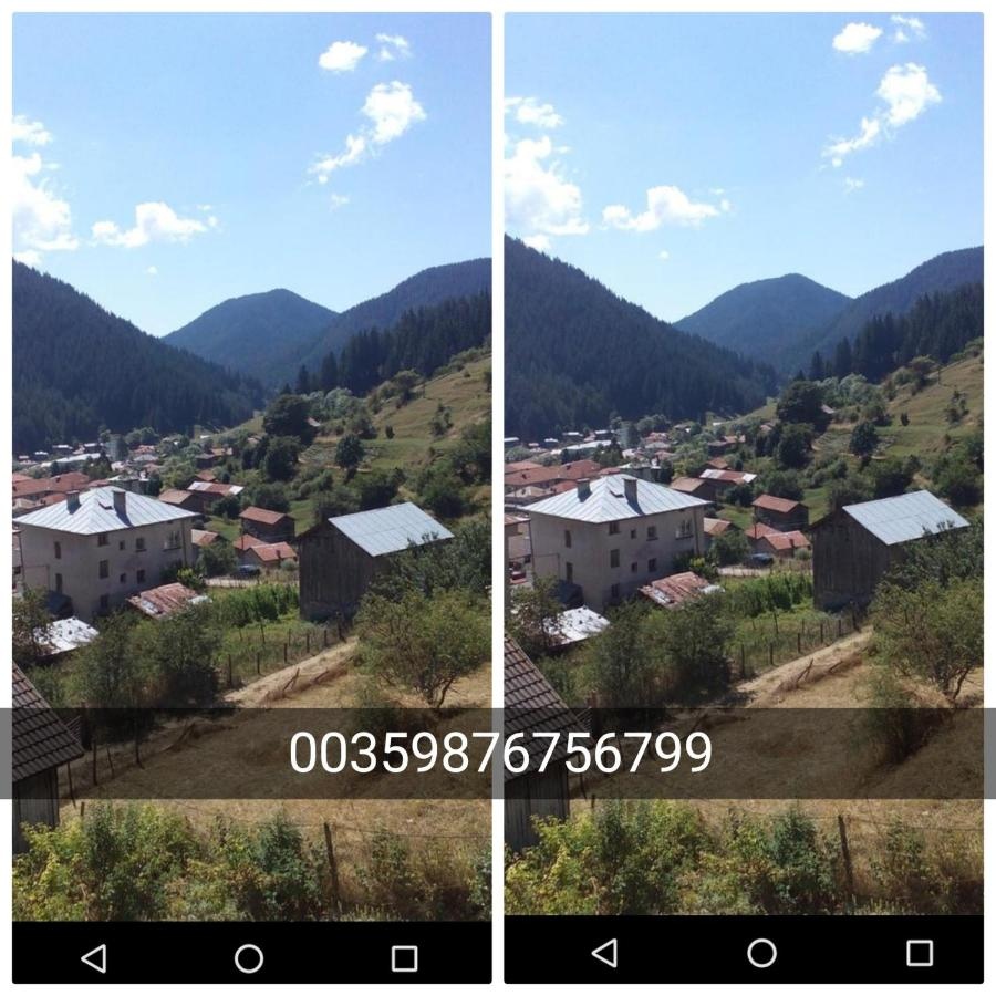 Guest House Jani